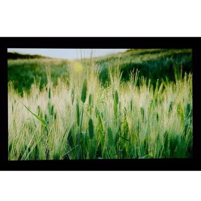 10,1» LCM 1024×600RGB   ² di 350cd/m   Esposizione tagliente di LQ101W3LG01 TFT LCD