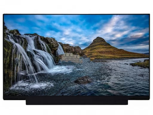NT173WDM-N25 BOE 17,3&quot; 1600 ((RGB) × 900, HD+ 250 (cd/m2)