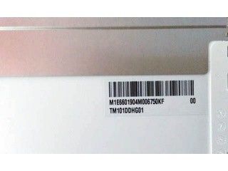 TM101DDHG01 LED Driver 10,1 pollici Display TFT per automobili 80/80/75/80 (Tip.)