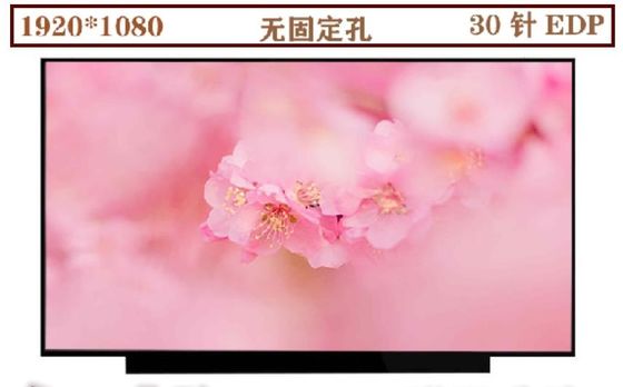 N133HCE-EN1 Innolux 13,3» 1920 (RGB) ESPOSIZIONI LCD di INDUSTRIALE del ² di ×1080 330 cd/m