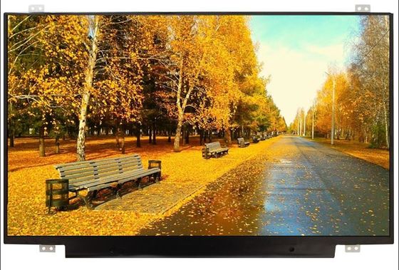 N156HGA-EAB Innolux 15,6» 1920 (RGB) ESPOSIZIONI LCD di INDUSTRIALE del ² di ×1080 220 cd/m